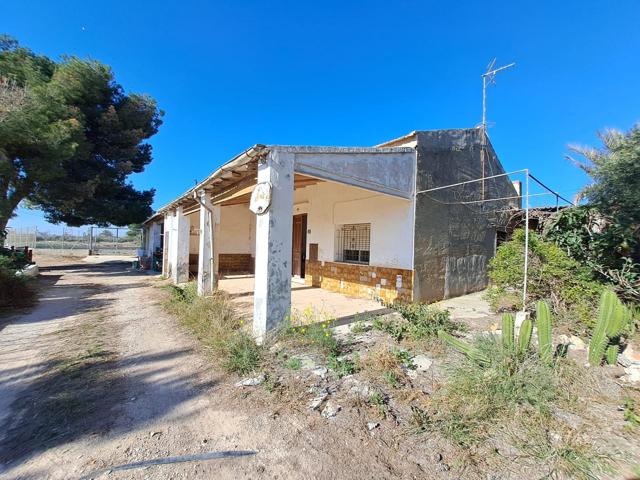 Casa de Campo con 3 Habitaciones en las Bayas, Elche. photo 0