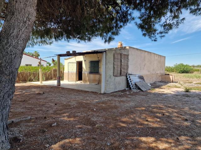 CASITA DE CAMPO PARA REFORMA INTEGRAL EN EL CAMPO DE ELCHE photo 0