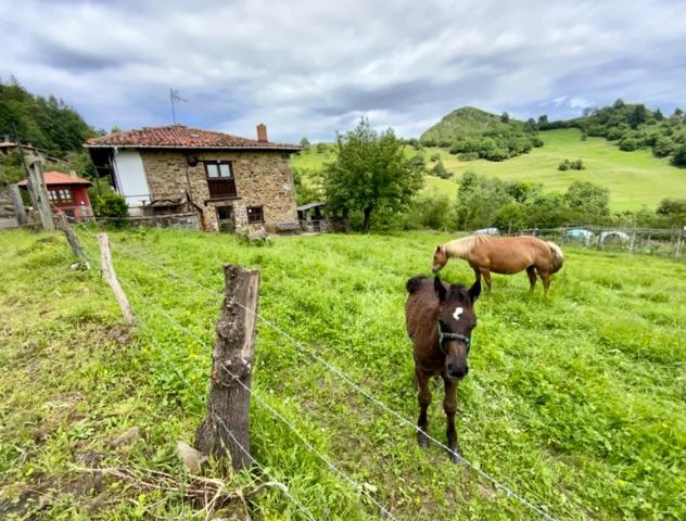 Unifamiliar En venta en Espinaredo, Piloña photo 0