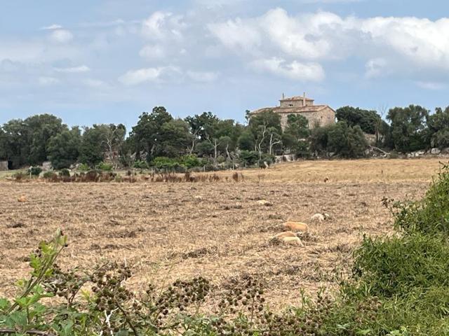 FINCA EN PORRERES DE 72720 M2 CON CASA DE 300 photo 0