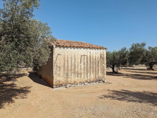 Terreno con caseta en Ulldecona photo 0