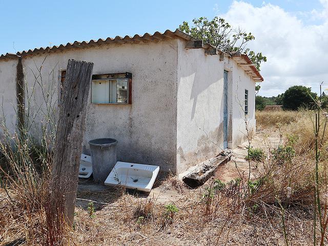 Casa de campo en el Camino del Olivar, Ulldecona photo 0