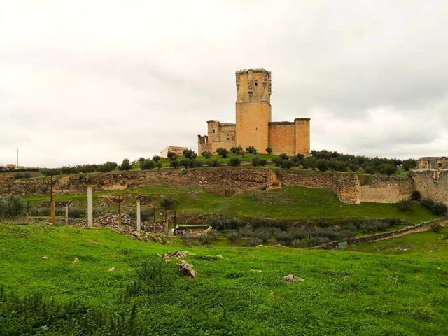 FINCA A LA FALDA DEL CASTILLO DE BELALCAZAR! photo 0