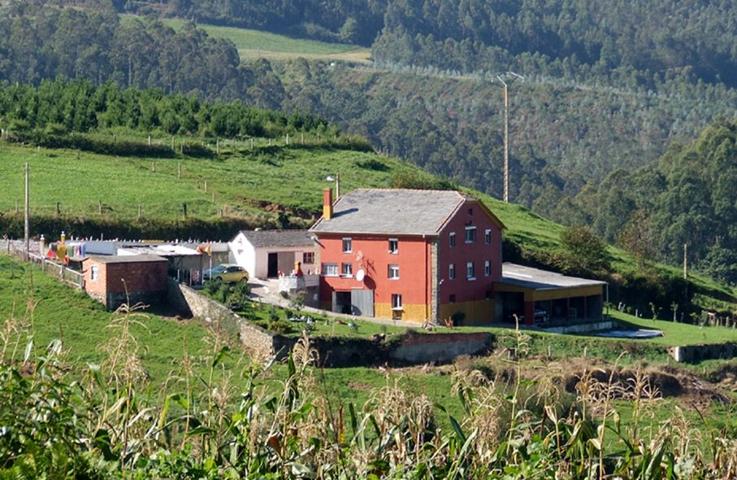 CASA ASTURIANA EN BUEN ESTADO CON PARCELA. photo 0