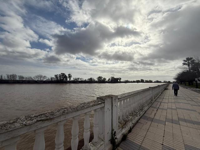 Piso En venta en Andalucia, Coria Del Rio photo 0