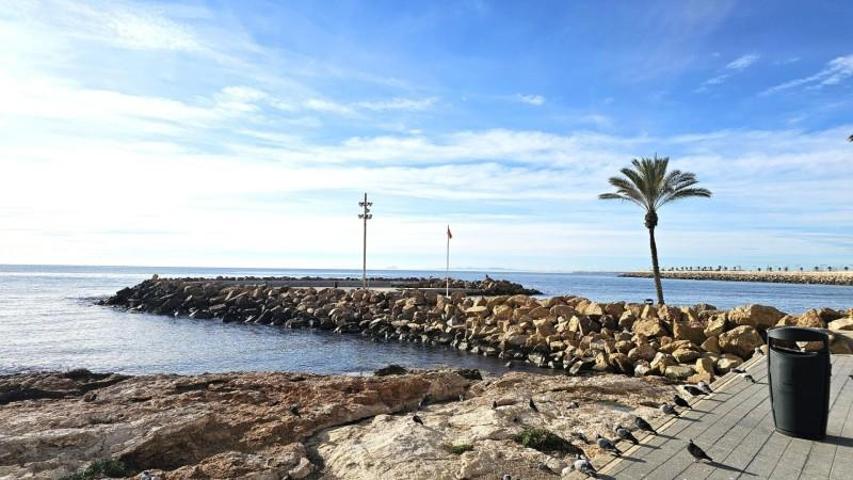 Apartamento en venta en Torrevieja photo 0