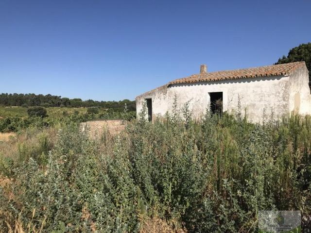 Chalet en venta en Hinojos, ALGARBE photo 0