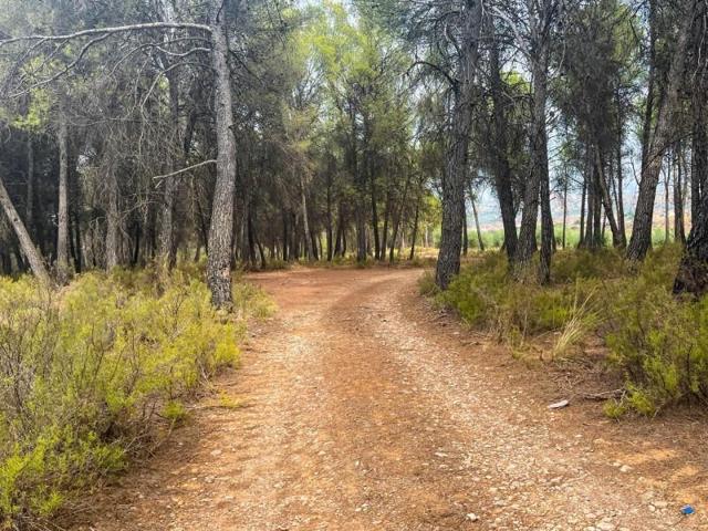 Chalet en venta en Iznalloz, Sotillo photo 0