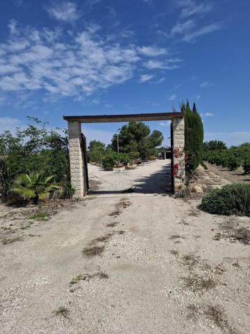 Casa con terreno en venta en Guardamar del Segura photo 0