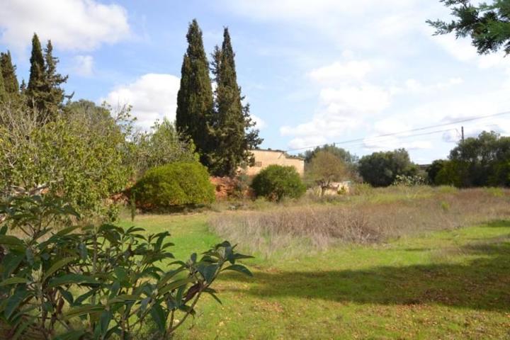 Casa con terreno en venta en Muro, Muro photo 0