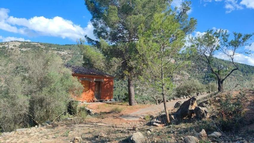 Casa con terreno en venta en Castell de Castells, La Vall de Laguar photo 0