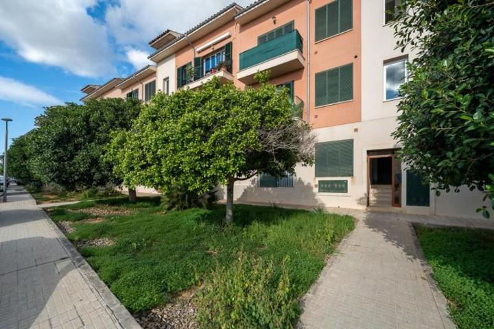 Aticos en venta en Campos, Campos photo 0