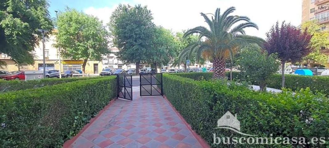 Piso en venta en Linares, Paseo Marqueses de Linares, 23700 photo 0