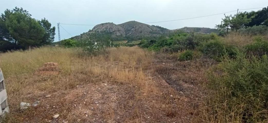Casa con terreno en venta en Monovar-Monover, Borrasca photo 0