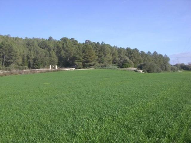 Chalet en venta en Algaida, Algaida campo photo 0
