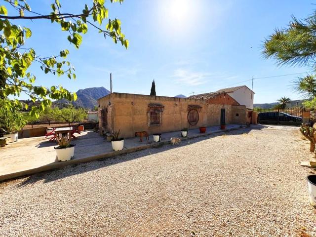 Casa con terreno en venta en Hondon de los Frailes photo 0