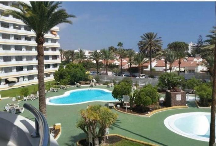 Apartamento en alquiler en San Bartolomé de Tirajana, Playa del Inglés photo 0