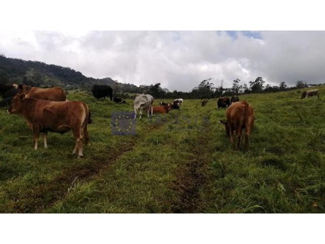 Chalet en venta en Coria photo 0