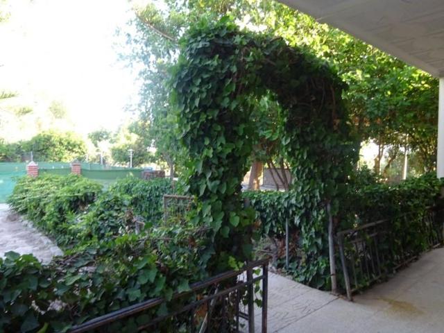 Casa con terreno en venta en Molina de Segura, El Fenazar photo 0