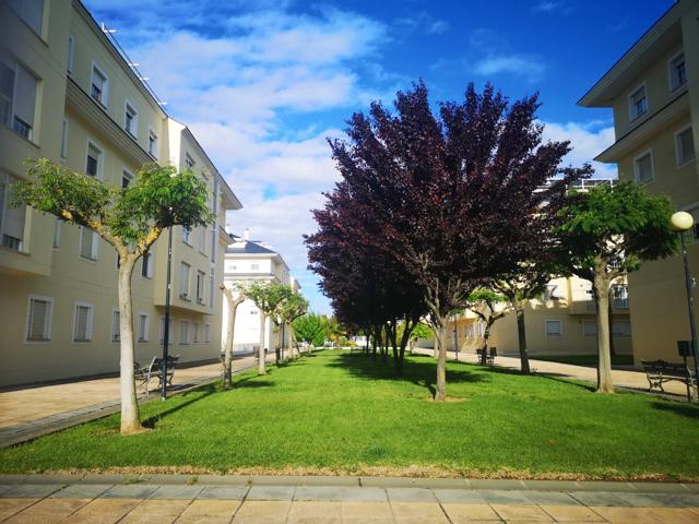 JARDINES DEL GUADIANA, AMUEBLADO CON GARAJE y TRASTERO photo 0