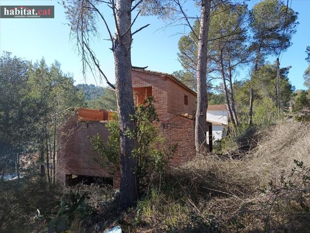 ¡¡ OBRA PARADA EN OLIVELLA - MAS MILA !! photo 0