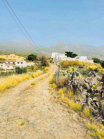 Terreno rural en alquiler o venta en Güimar. photo 0