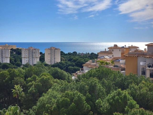 Apartamento 2 dormitorios, 1 baño, piscina, vistas panorámicas al mar y con Licencia Turística photo 0