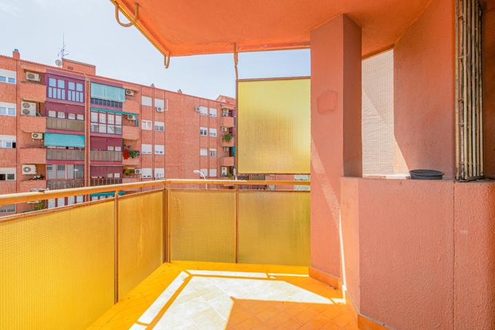 JARDÍN DE LA REINA. PISO FALMILIAR photo 0