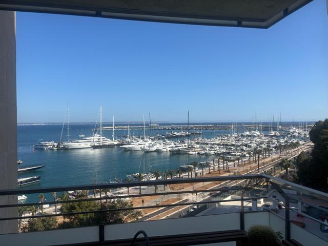 Encantador estudio en alquiler en primera línea del Paseo Marítimo de Palma. photo 0