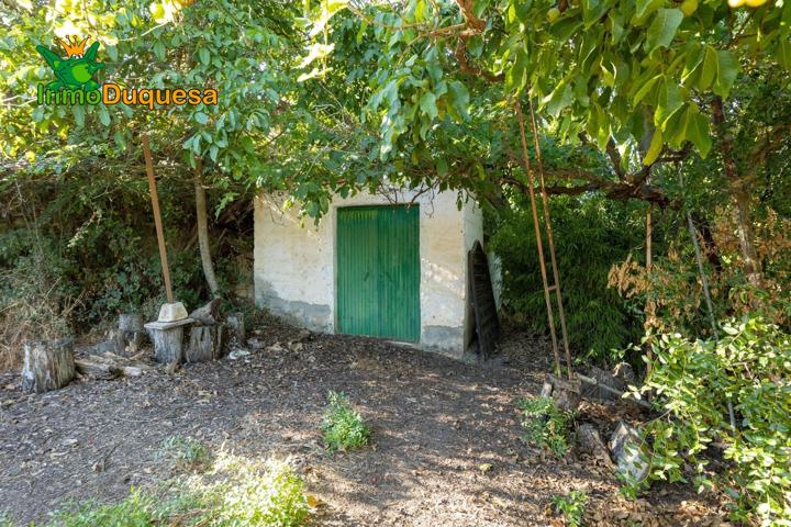 Terreno rústico con OLIVOS y caseta. photo 0