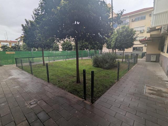 BAJO EN PARQUE ALCOSA photo 0