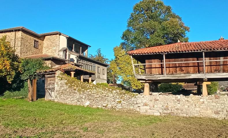 Conjunto de casa señorial, capilla y más de 10.000 m2 de terreno. photo 0