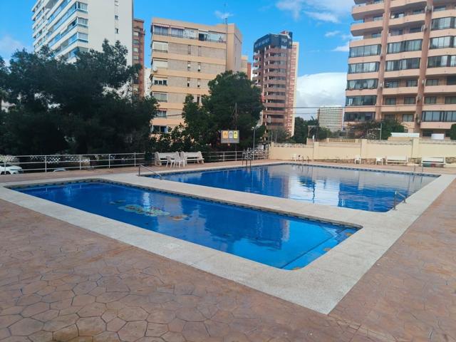ALQUILER LARGA TEMPORADA BENIDORM photo 0