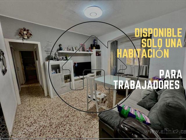 ALQUILER POR HABITACIÓN - SOLO 1 DORMITORIO DISPONIBLE - PIO XII - LOS BOMBEROS photo 0