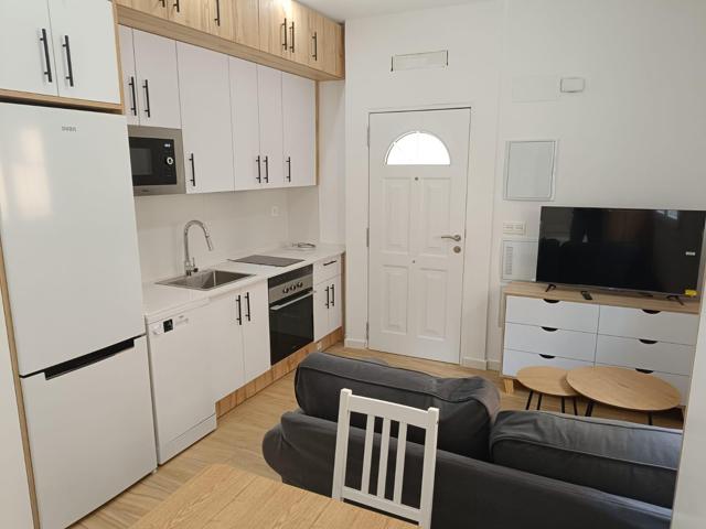 Se alquila magnifico loft al lado de Juan de Borbón photo 0