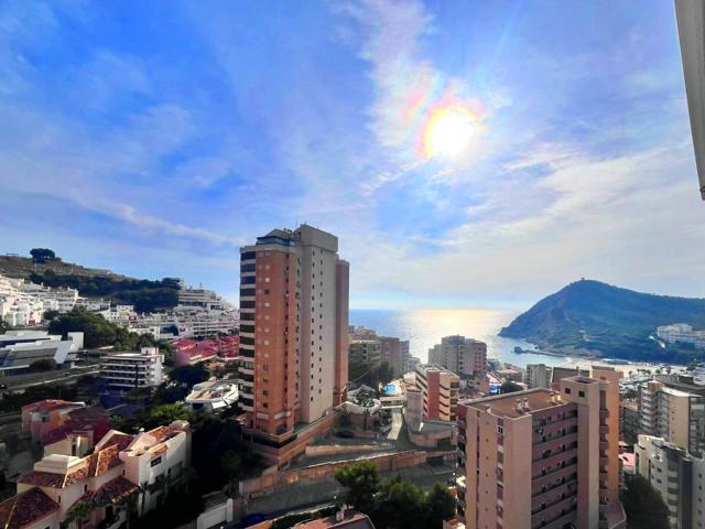 PISAZO EN LA CALA DE BENIDORM photo 0