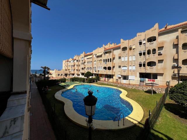 SOLO PROFESORES PERIODO ESCOLAR photo 0