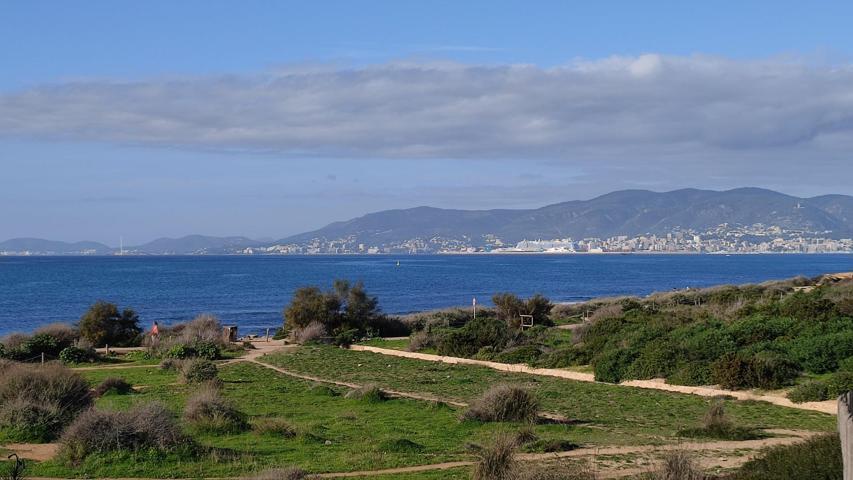 PRECIOSA PLANTA BAJA CON PARKING Y AMPLIO JARDÍN PRIVADO CON PORCHE CERCA DEL MAR EN CAN PASTILLA photo 0