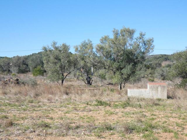 FINCA RUSTICA DE 10.800 M2 CON AGUA. A 5 KM. DEL MAR. photo 0