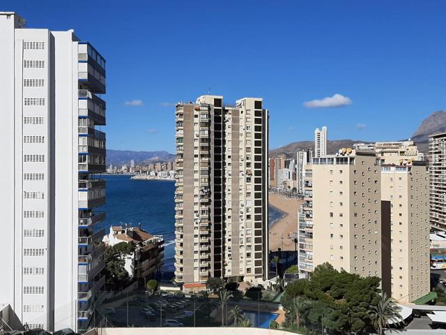 Estudio con vistas al mar en la zona de la Sierra Helada www.inmobiliarialesdunes.com photo 0