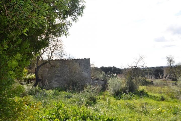 Finca con caseta de herramienta en Muro photo 0