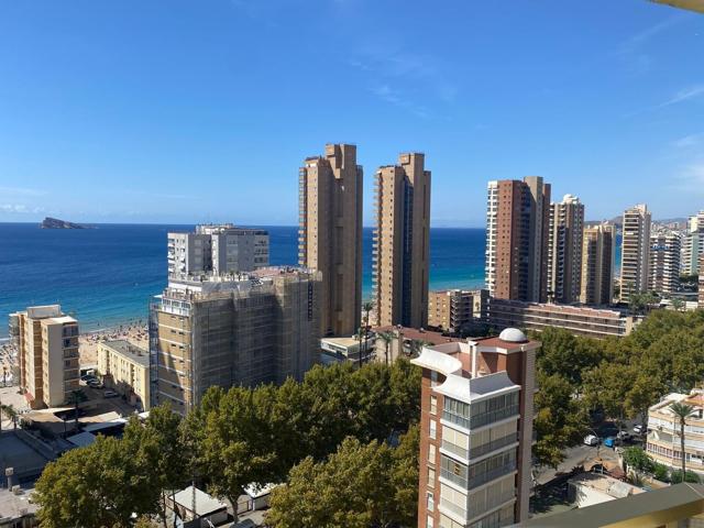Se venden varios apartamento de dos dormitorios en playa de levante photo 0