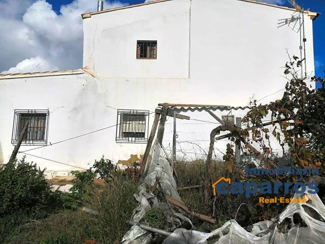 CASA LOS CASTAÑOS - SORBAS photo 0