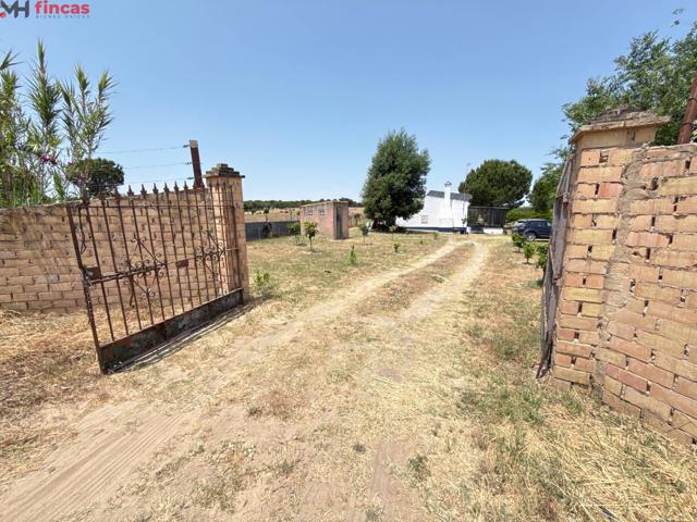 Parcela rústica en venta en Almonte con casa campera, pozo y placas solares – Oportunidad cerca de El Rocío. photo 0