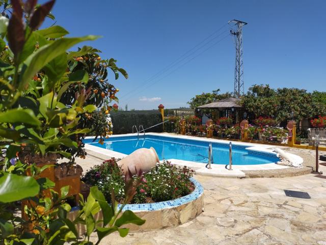 Casa con patio y piscina en Cartaojal photo 0