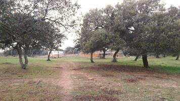 Terreno Urbanizable En venta en Camila, Chiclana De La Frontera photo 0