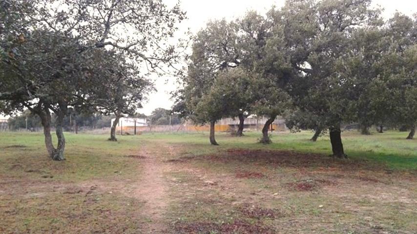 Terreno Urbanizable En venta en Camila, Chiclana De La Frontera photo 0