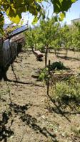 Terreno Urbanizable En venta en Martinez Garrido, Vigo photo 0