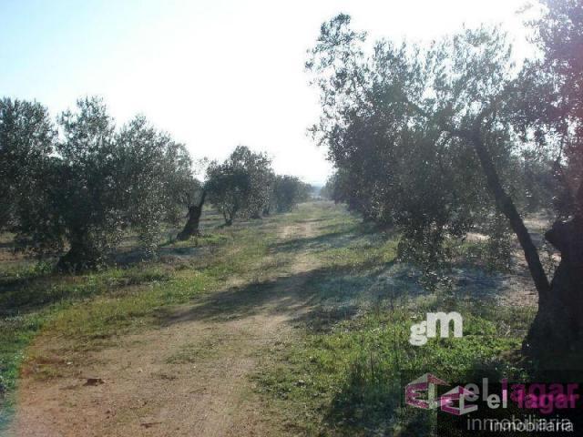 Terreno Urbanizable En venta en Ctra De La Roca, Montijo photo 0