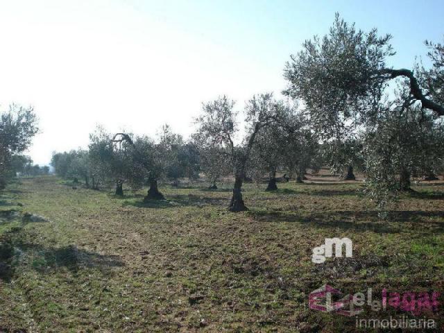 Terreno Urbanizable En venta en Ctra De La Roca, Montijo photo 0